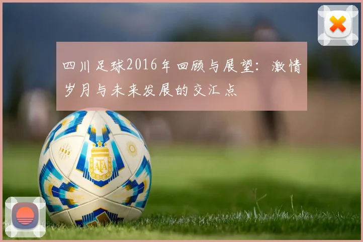 四川足球2016年回顾与展望：激情岁月与未来发展的交汇点